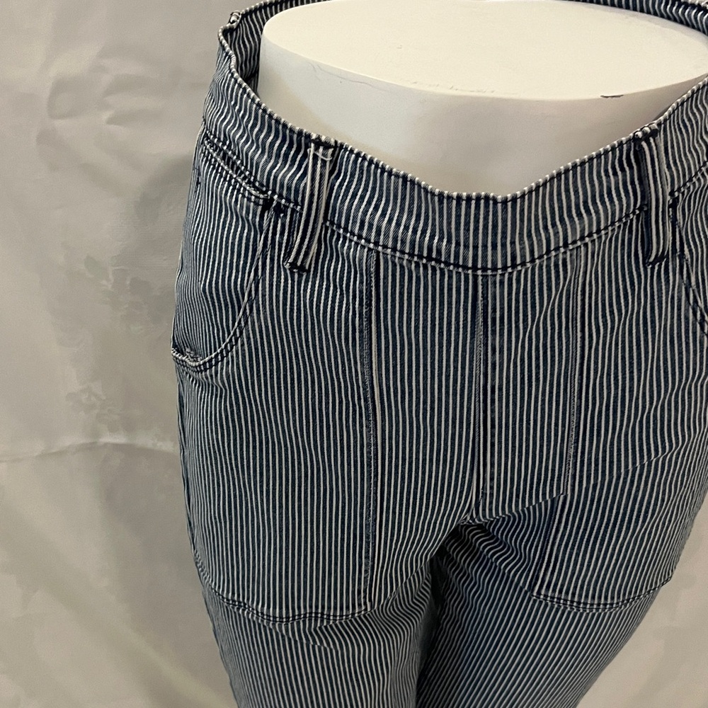 Frame Denim Blue and White Striped Ankle Jeans - Picture 4 of 12
